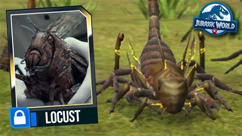 locust smpw jw.